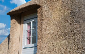 Ruddle thatch roof disadvantages